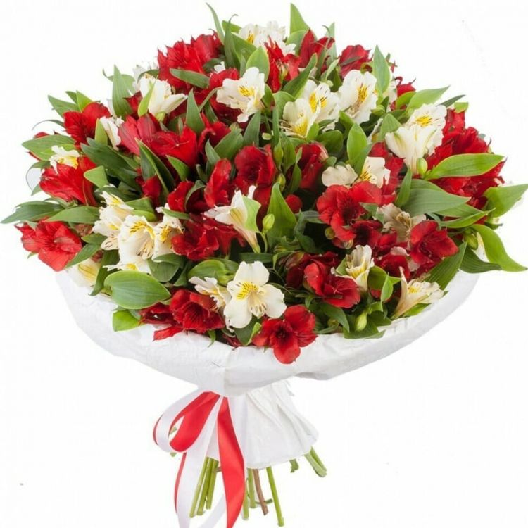 Миг от 4 922 руб.