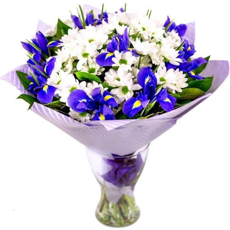 Океан от 7 176 руб.